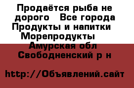 Продаётся рыба не дорого - Все города Продукты и напитки » Морепродукты   . Амурская обл.,Свободненский р-н